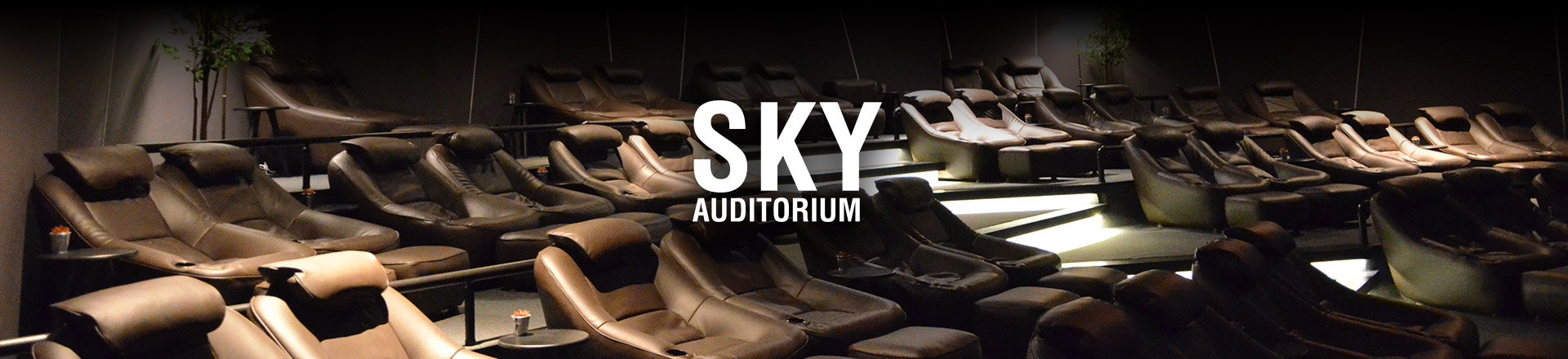 Cine Sky Auditorium